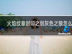 火焰纹章封印之剑灰色之狼怎么过