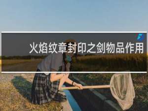 火焰纹章封印之剑物品作用