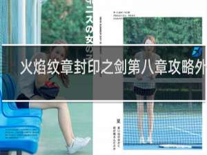 火焰纹章封印之剑第八章攻略外传