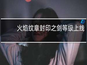 火焰纹章封印之剑等级上线