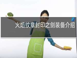 火焰纹章封印之剑装备介绍