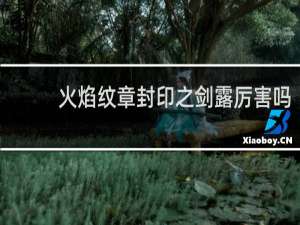 火焰纹章封印之剑露厉害吗