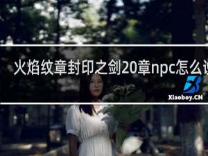火焰纹章封印之剑20章npc怎么说得