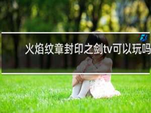 火焰纹章封印之剑tv可以玩吗