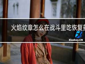 火焰纹章怎么在战斗里吃恢复药