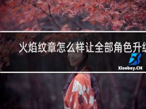 火焰纹章怎么样让全部角色升级