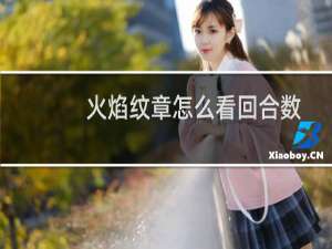 火焰纹章怎么看回合数