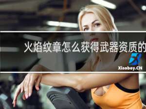 火焰纹章怎么获得武器资质的