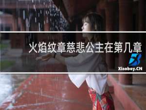 火焰纹章慈悲公主在第几章