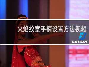 火焰纹章手柄设置方法视频