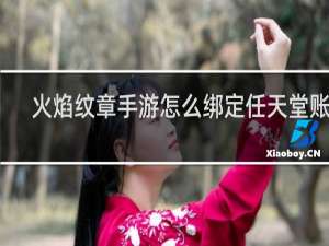 火焰纹章手游怎么绑定任天堂账号