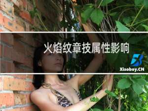火焰纹章技属性影响