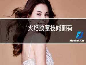 火焰纹章技能拥有