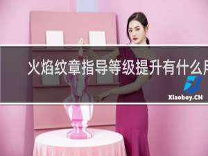 火焰纹章指导等级提升有什么用