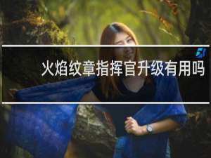火焰纹章指挥官升级有用吗