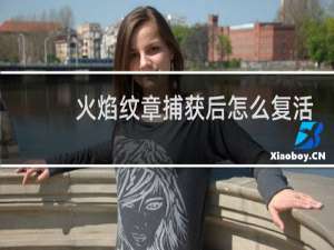 火焰纹章捕获后怎么复活