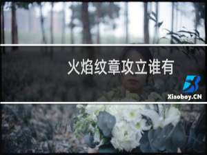 火焰纹章攻立谁有