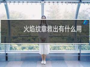 火焰纹章救出有什么用