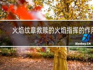 火焰纹章救赎的火焰指挥的作用