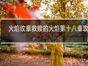 火焰纹章救赎的火焰第十八章攻略