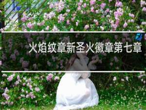 火焰纹章新圣火徽章第七章