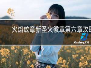 火焰纹章新圣火徽章第六章攻略