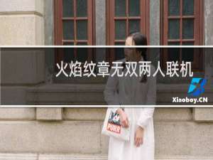 火焰纹章无双两人联机