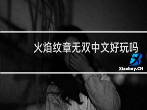 火焰纹章无双中文好玩吗