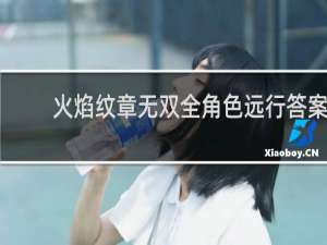 火焰纹章无双全角色远行答案