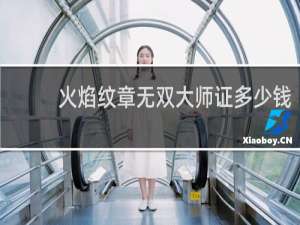 火焰纹章无双大师证多少钱
