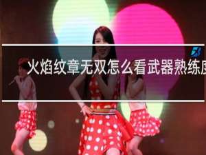 火焰纹章无双怎么看武器熟练度