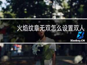 火焰纹章无双怎么设置双人