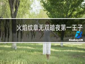 火焰纹章无双暗夜第一王子