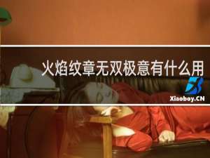 火焰纹章无双极意有什么用