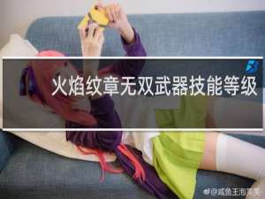 火焰纹章无双武器技能等级