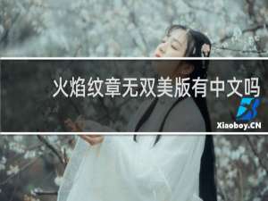 火焰纹章无双美版有中文吗