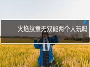 火焰纹章无双能两个人玩吗