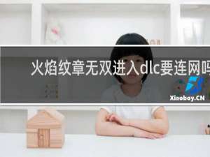 火焰纹章无双进入dlc要连网吗