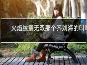 火焰纹章无双那个齐刘海的叫啥