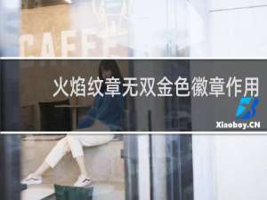 火焰纹章无双金色徽章作用