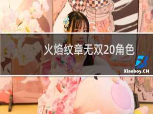 火焰纹章无双 角色