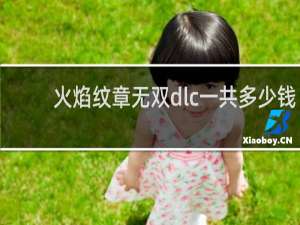 火焰纹章无双dlc一共多少钱