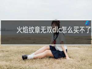 火焰纹章无双dlc怎么买不了