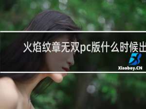 火焰纹章无双pc版什么时候出
