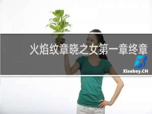 火焰纹章晓之女第一章终章