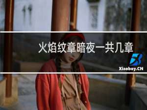 火焰纹章暗夜一共几章