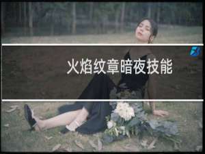 火焰纹章暗夜技能