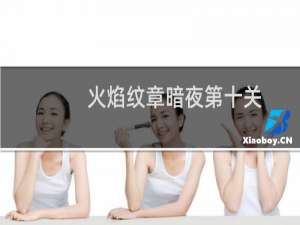 火焰纹章暗夜第十关