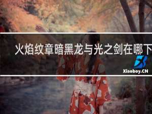 火焰纹章暗黑龙与光之剑在哪下载