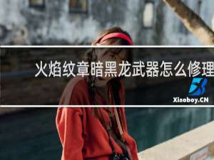 火焰纹章暗黑龙武器怎么修理